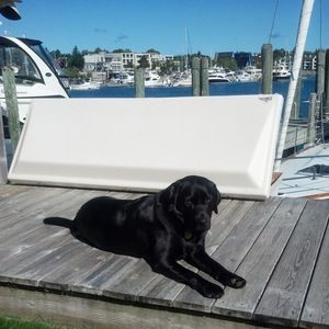 Meet your Posher, Dudley